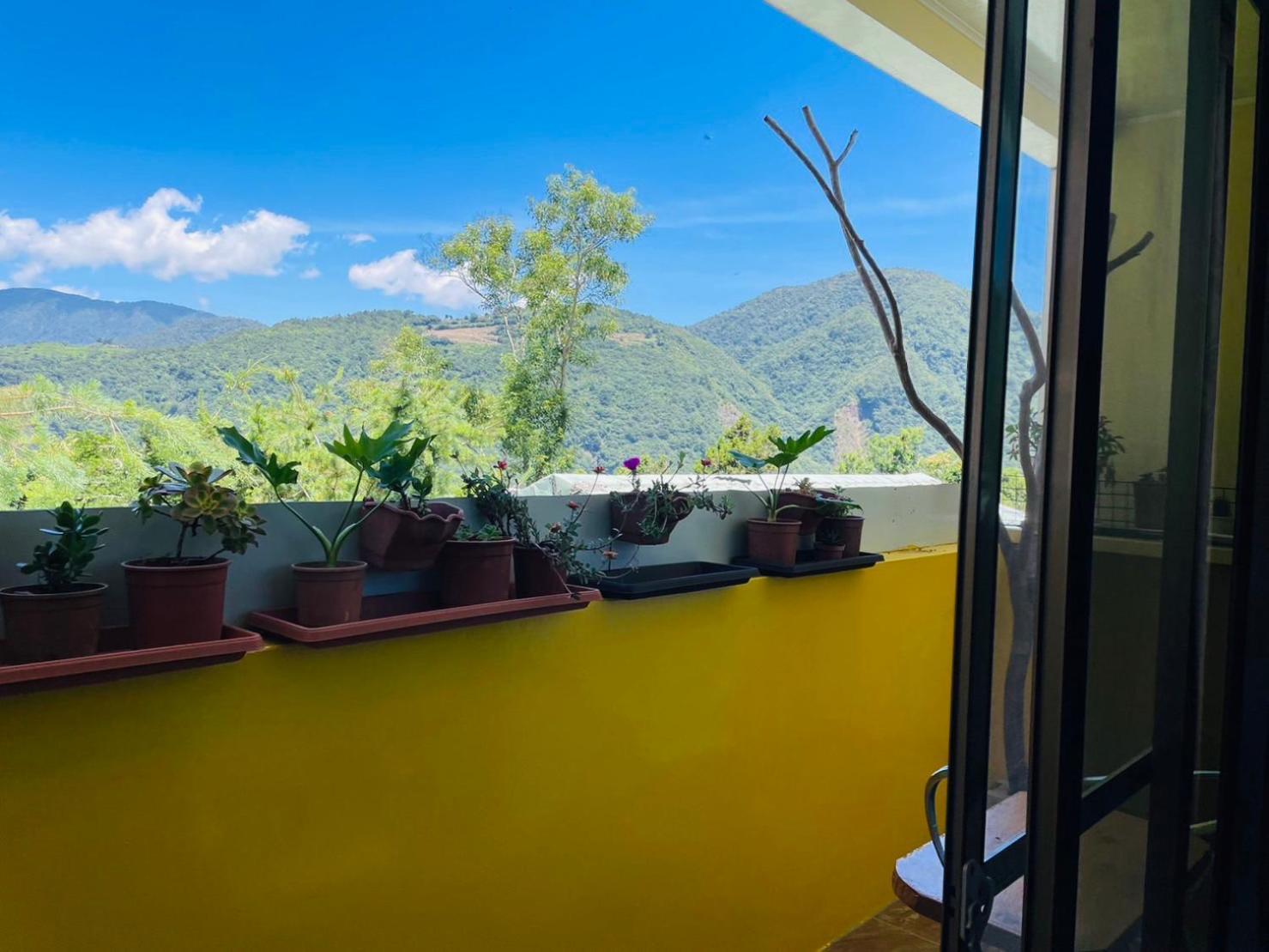 Appartement Nantou Fruit House à Renai Extérieur photo