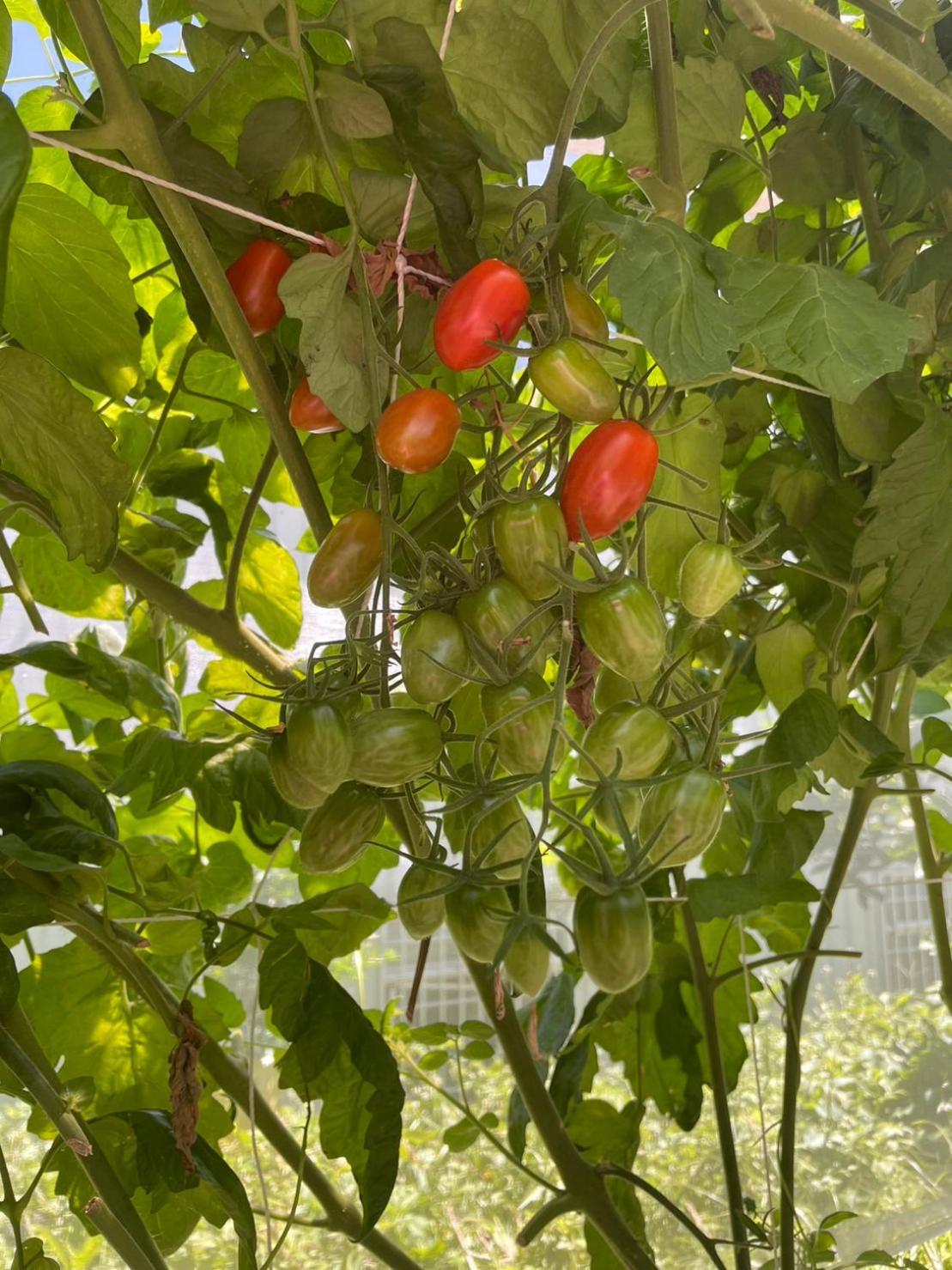 Appartement Nantou Fruit House à Renai Extérieur photo